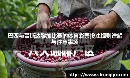 巴西与哥斯达黎加比赛的体育彩票投注规则详解与注意事项